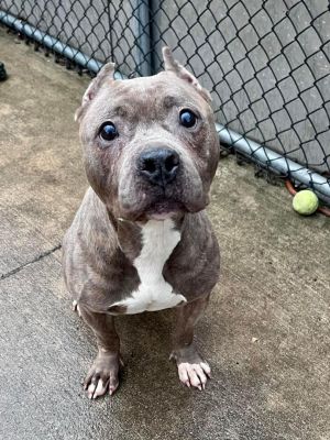 Marilyn is a beautiful lady with the sweetest eyes Marilyn isnt old but you might think so at a qu