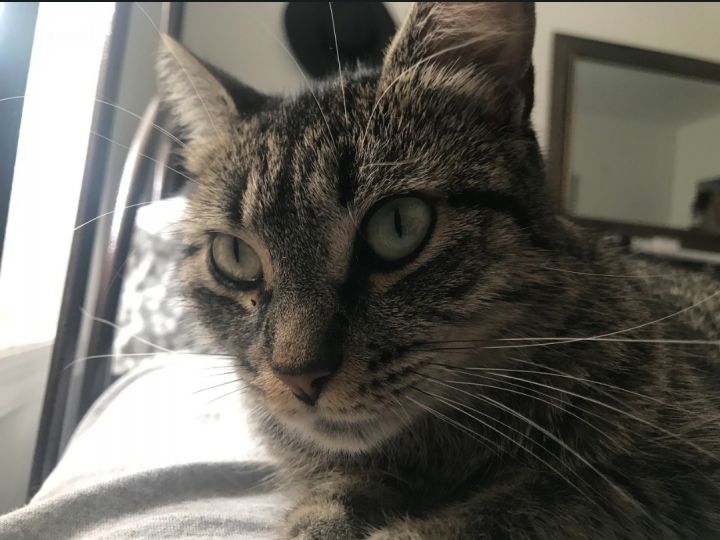 Millie B 4