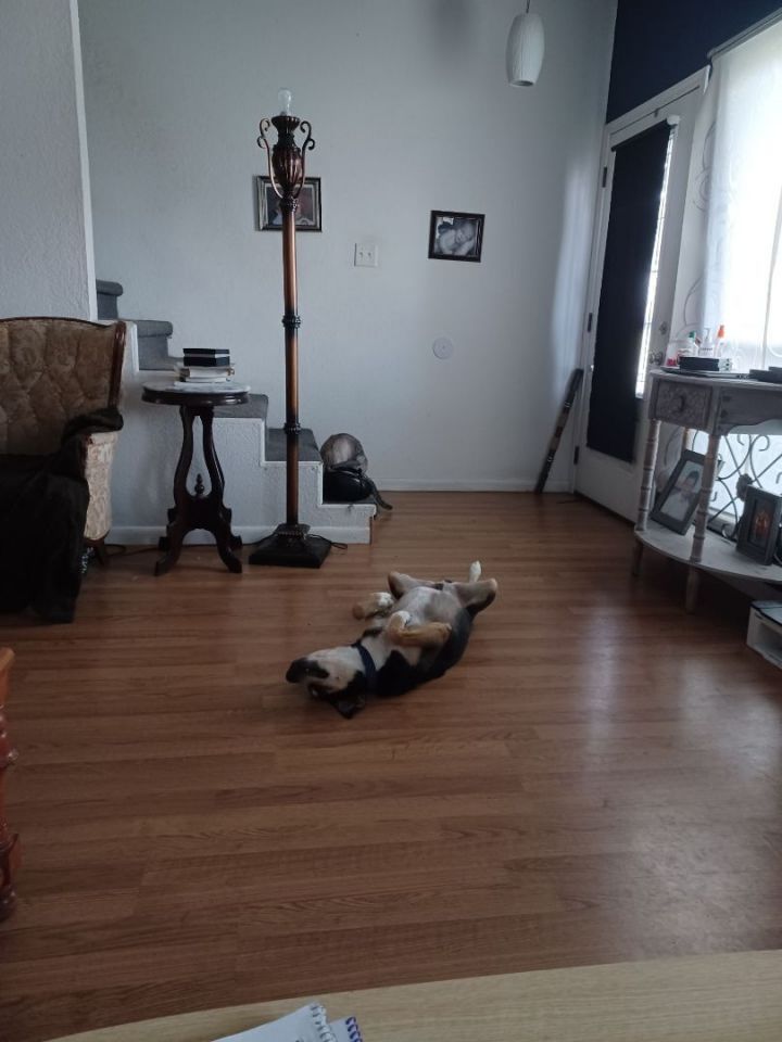 Buster 2