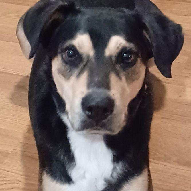 Buster