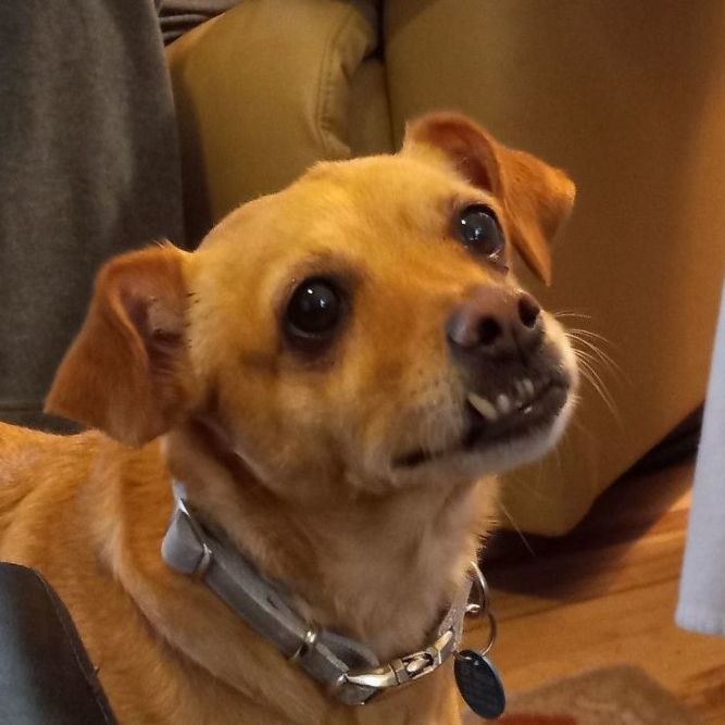 Zoey