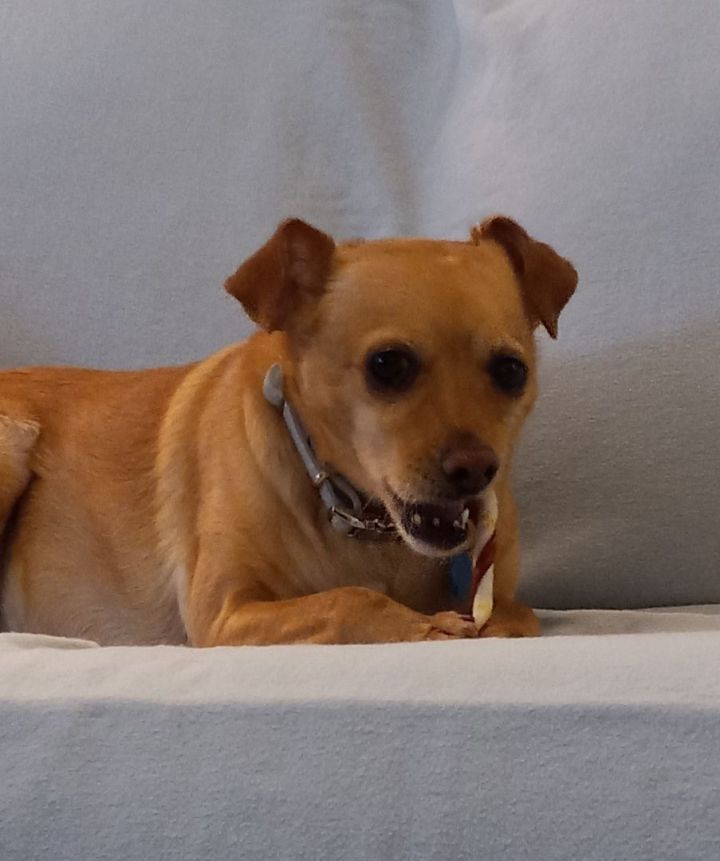 Zoey 4