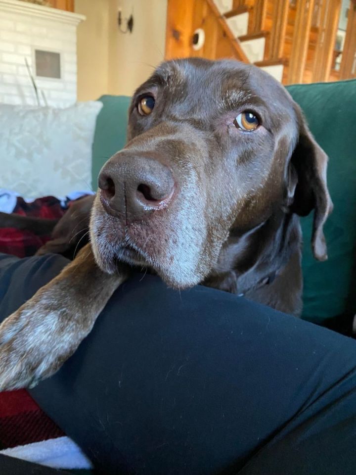 Dino-Sweet Senior!  5