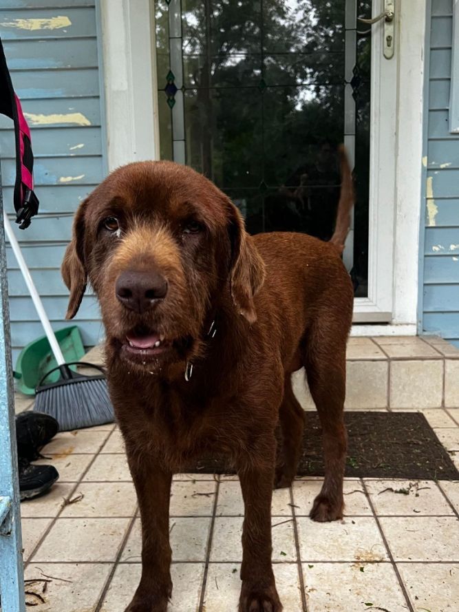 Hershey
