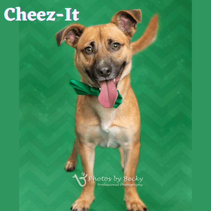 Cheez-It 1