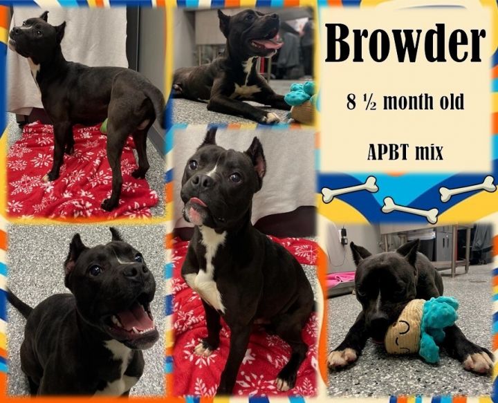 Browder 1