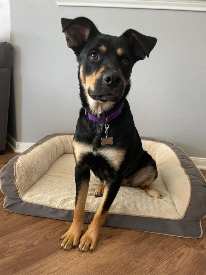 Mia