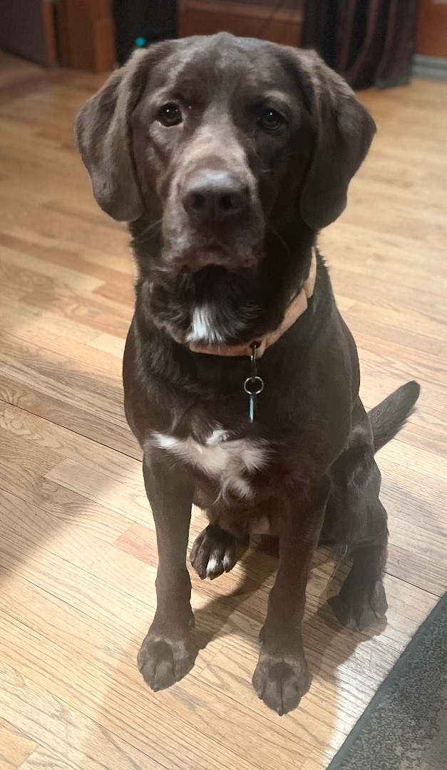 Milo 