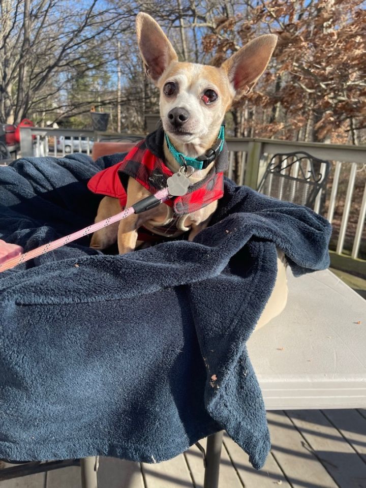 Tinkerbell 10 lbs of love 4