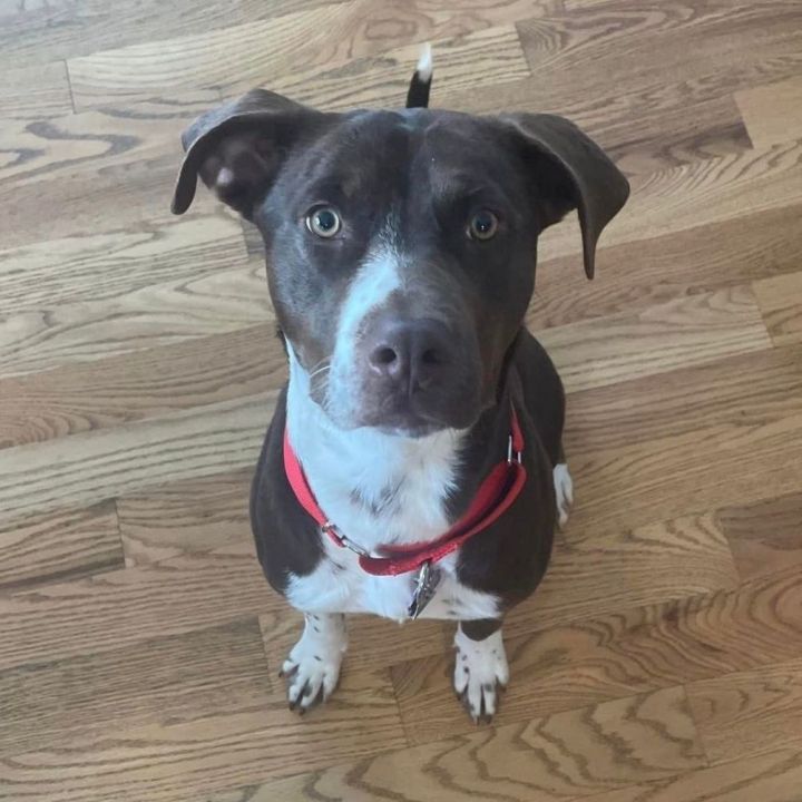 BONNIE MAE 2