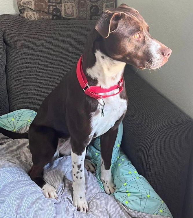 BONNIE MAE