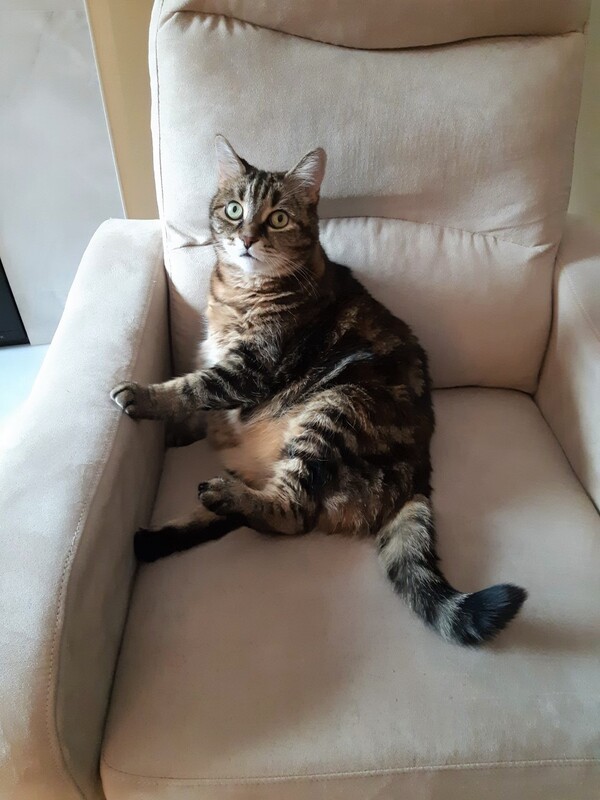 Chloe