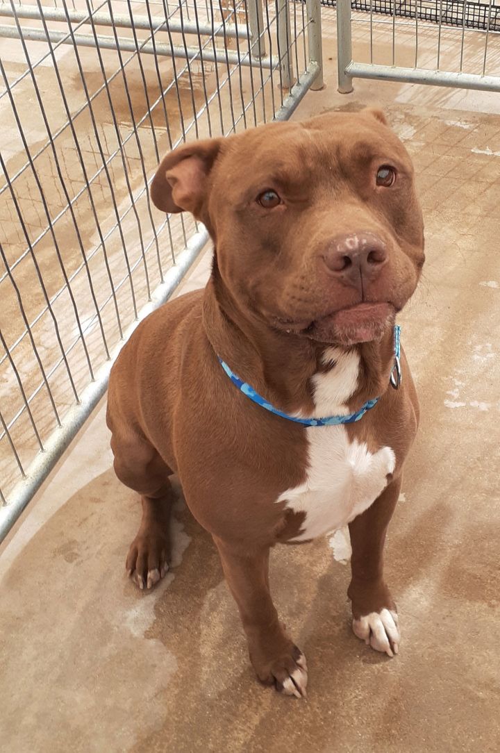 Taz 3