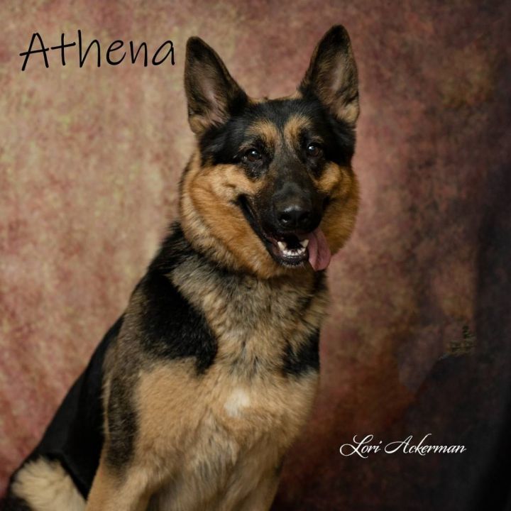 Athena 4