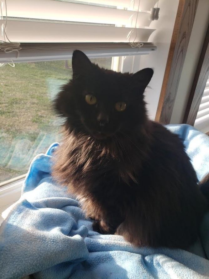 Sampson