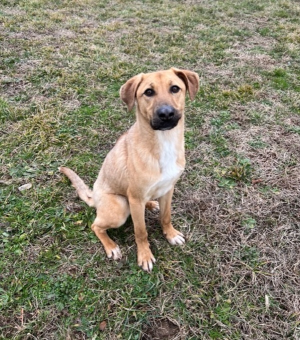 Roscoe