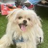 Baxter
