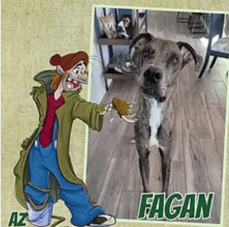 Fagan, an adoptable Great Dane in Glendale, AZ_image-1