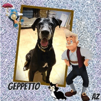 Geppetto
