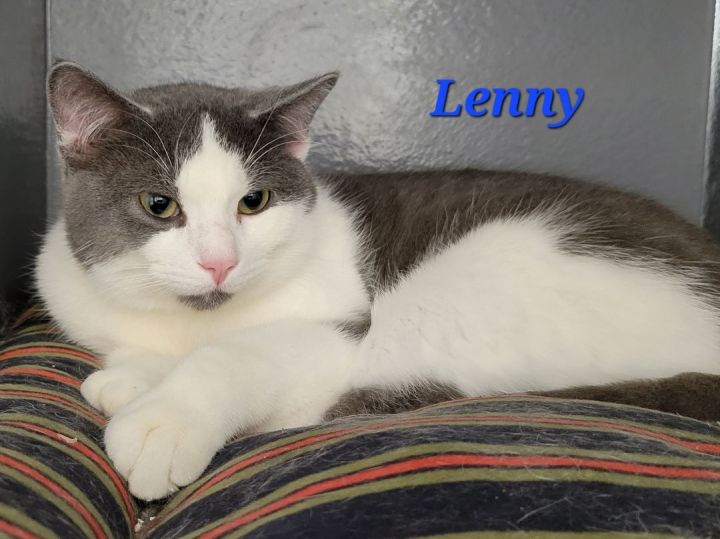 Lenny 2