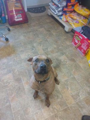 Duke