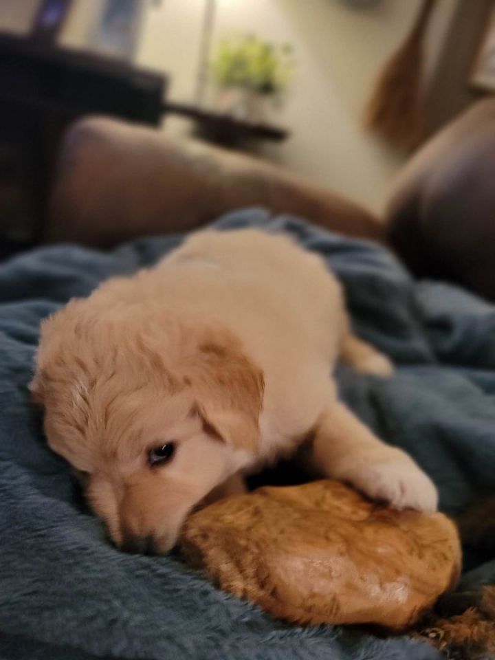 Spud Jones 4
