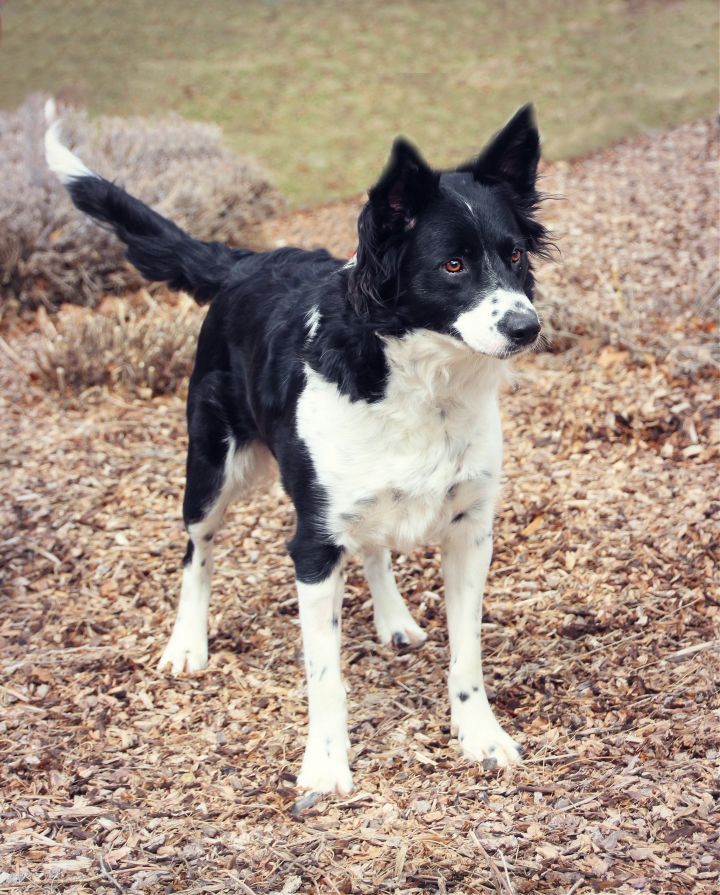 Abbie 4