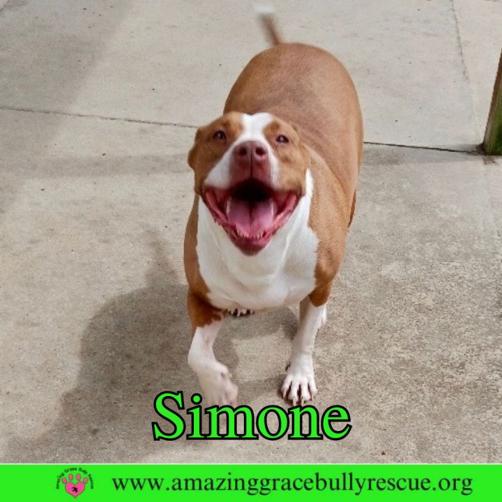 Simone 7