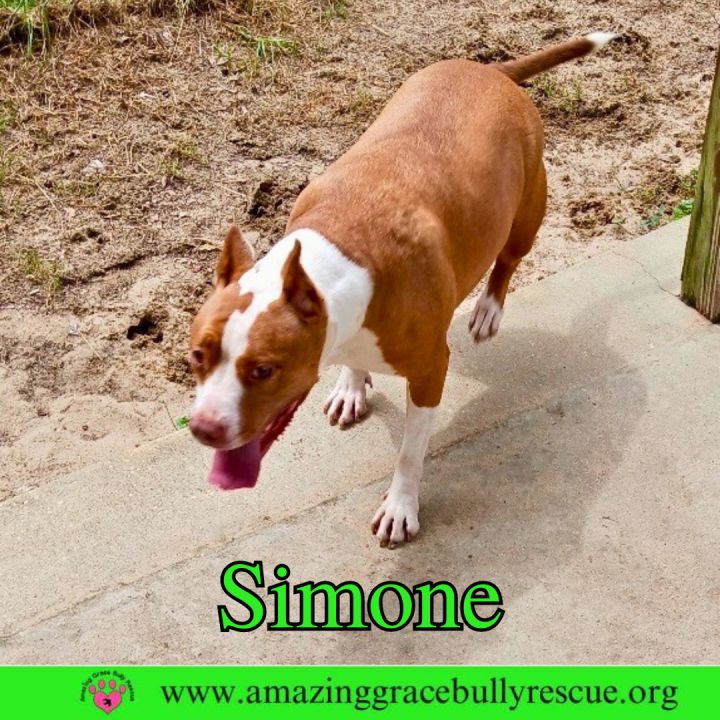 Simone 9