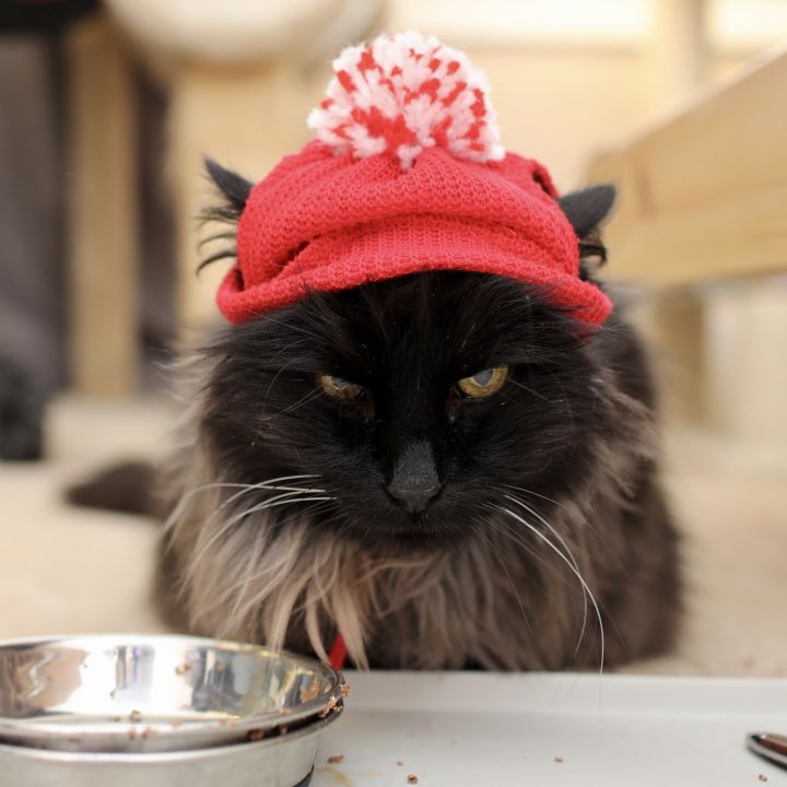 Smokey Joe 1