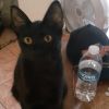 Toni photo 5