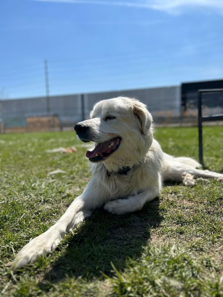 Walter 1