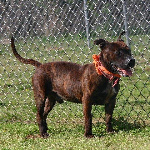 Malachi 3