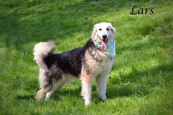 Lars