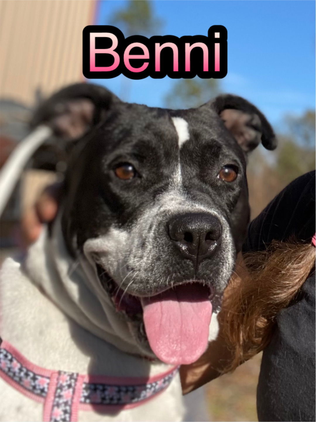 Bennie