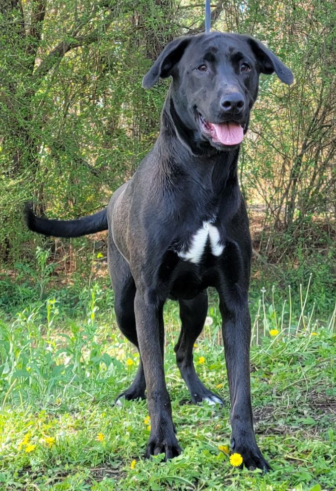 230109 Odin