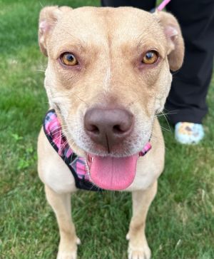PENNY