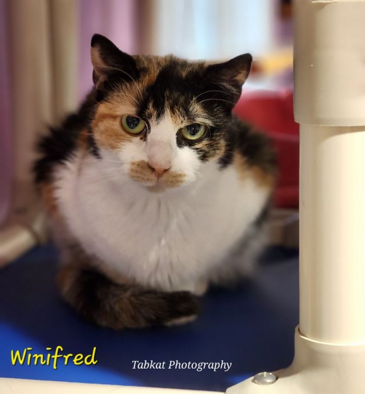 Winifred 5