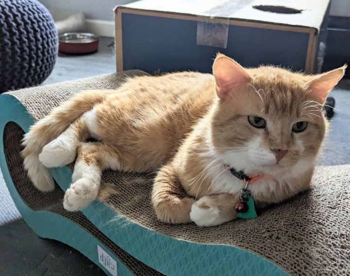 GARFIELD 3