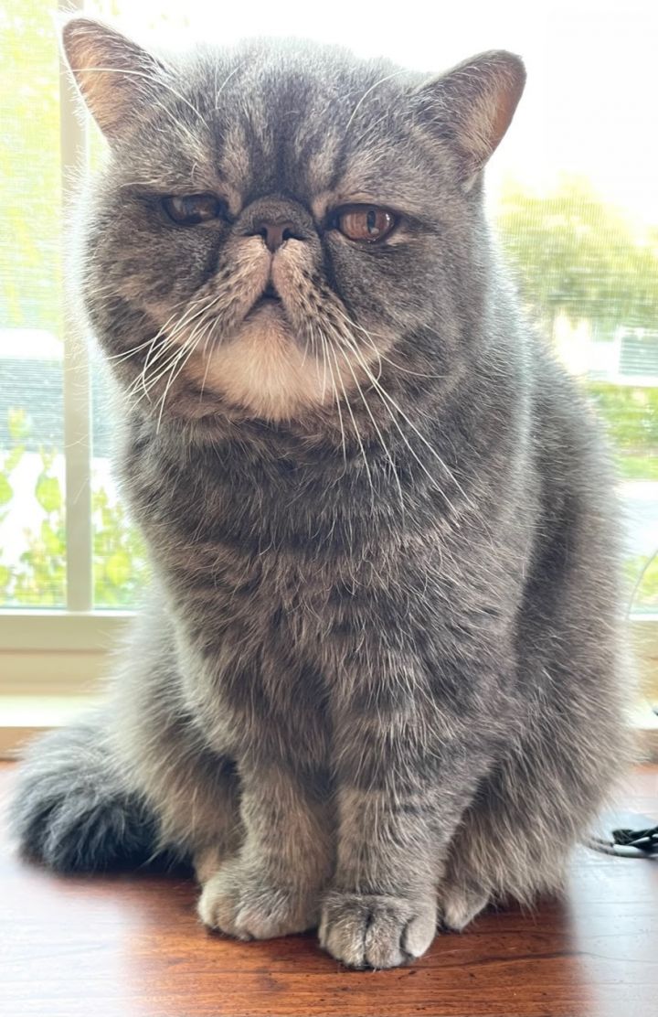 Toby 2
