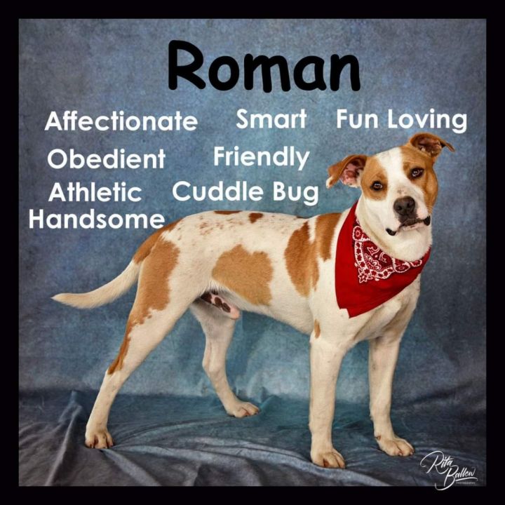 Roman 1