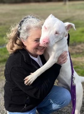 Ghost, an adoptable American Staffordshire Terrier in Harrisburg, AR_image-4