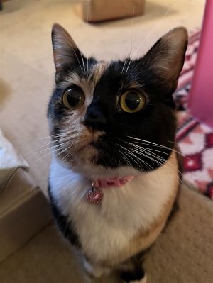 Mimi