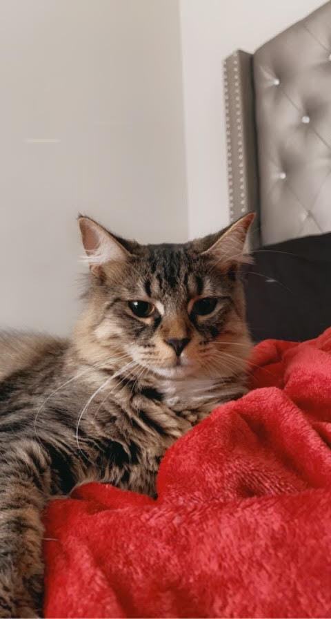 Augusta (must be adopted with Athena)
