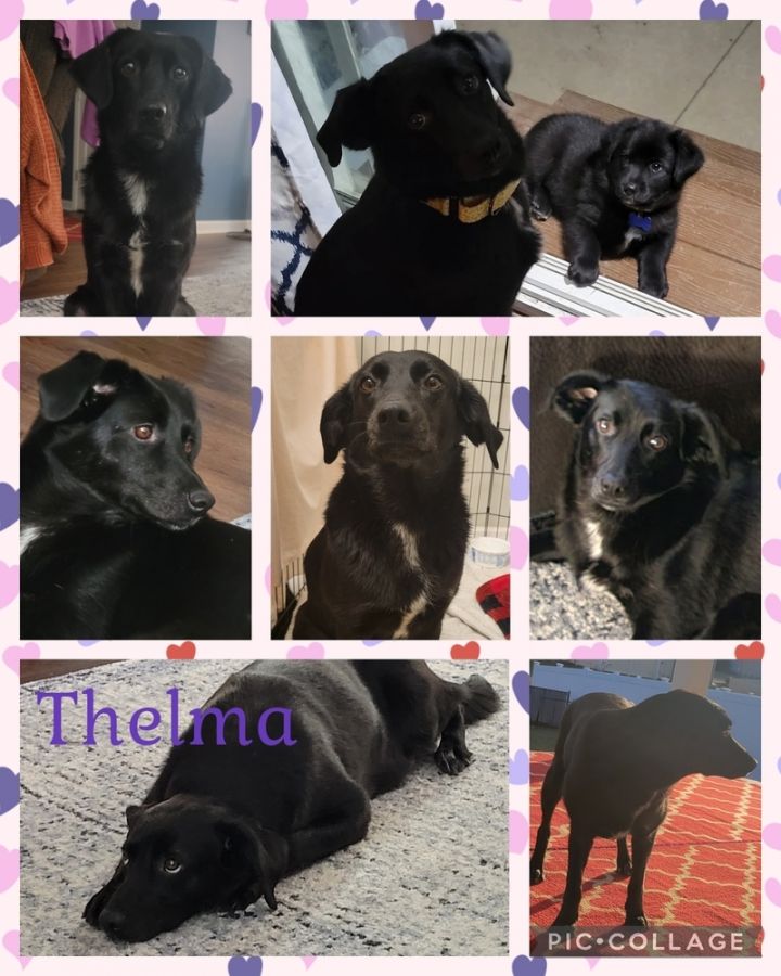 Thelma 1