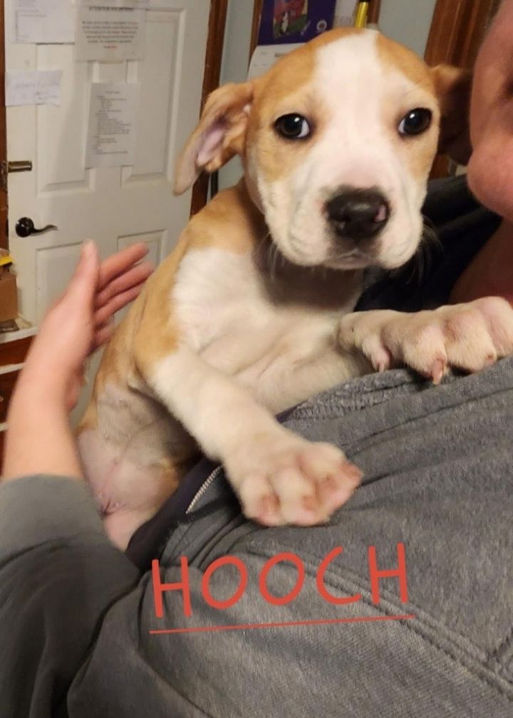 Holly 6