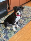 Trudy