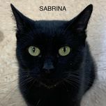Sabrina detail page