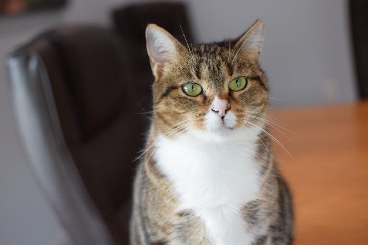 Molly 1