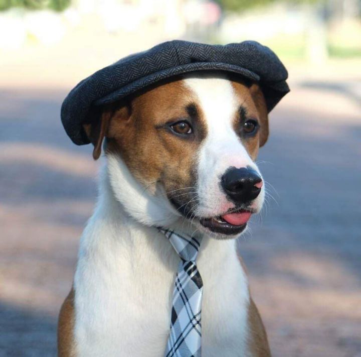 DAVEY aka DAPPER DAVE 1
